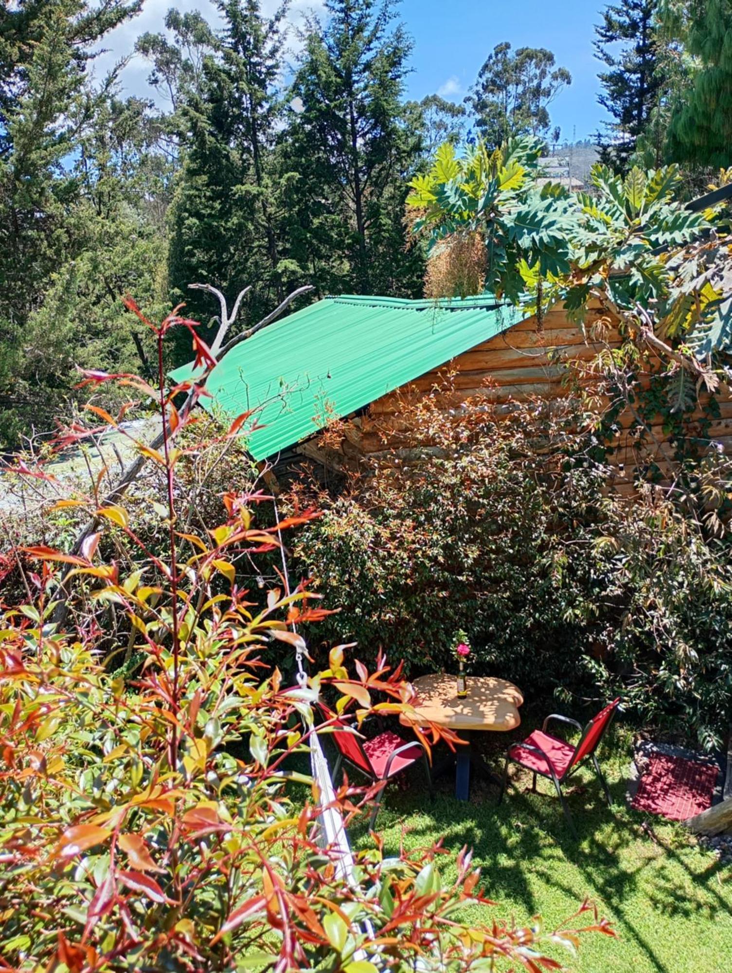 Chalet En El Pinar